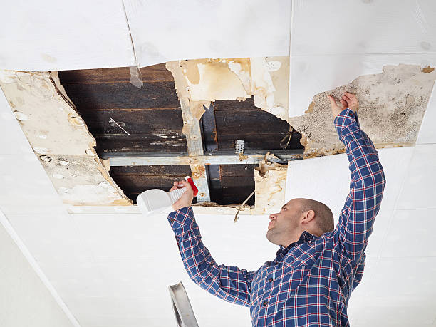 Best Real Estate Mold Inspection  in Ames, TX